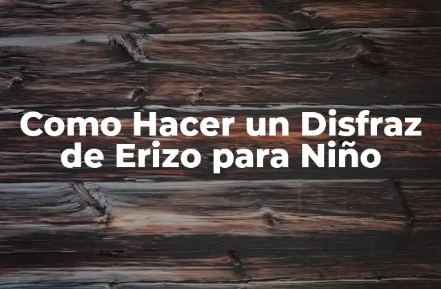 Como Hacer un Disfraz de Erizo para Niño
