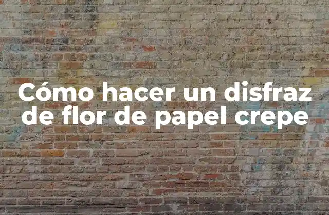 Cómo Hacer un Disfraz de Flor de Papel Crepe