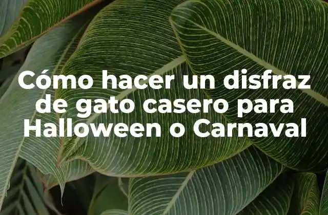 Cómo Hacer un Disfraz de Gato Casero para Halloween o Carnaval
