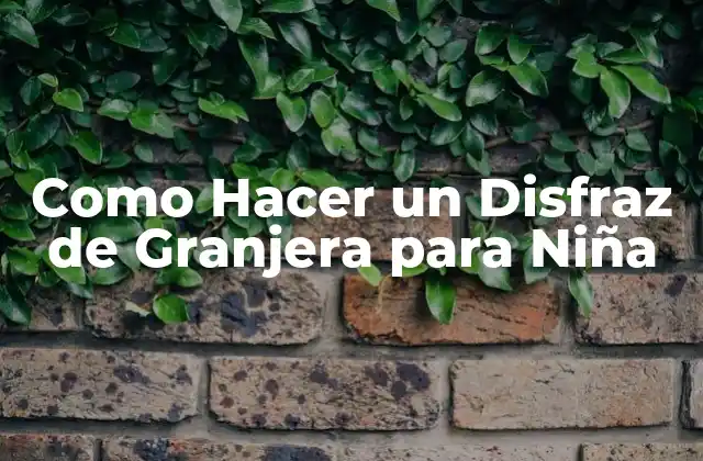 Como Hacer un Disfraz de Granjera para Niña