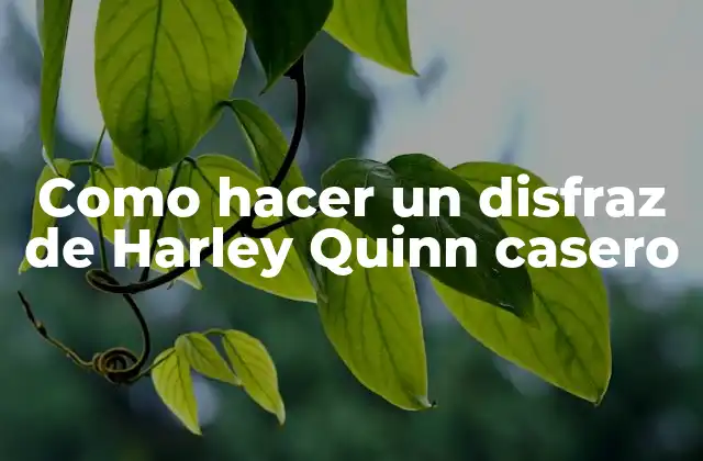 Como Hacer un Disfraz de Harley Quinn Casero