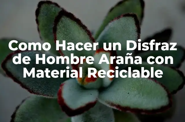 Como Hacer un Disfraz de Hombre Araña con Material Reciclable