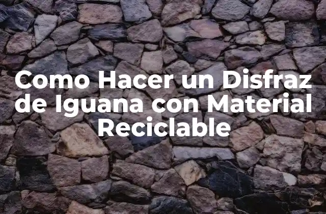 Como Hacer un Disfraz de Iguana con Material Reciclable