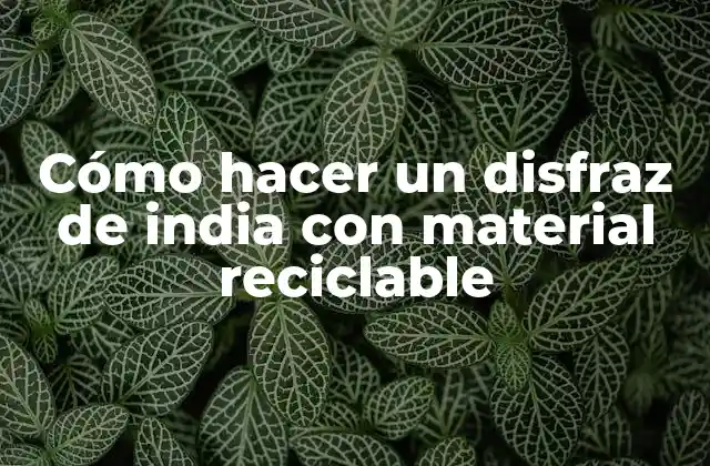Cómo Hacer un Disfraz de India con Material Reciclable