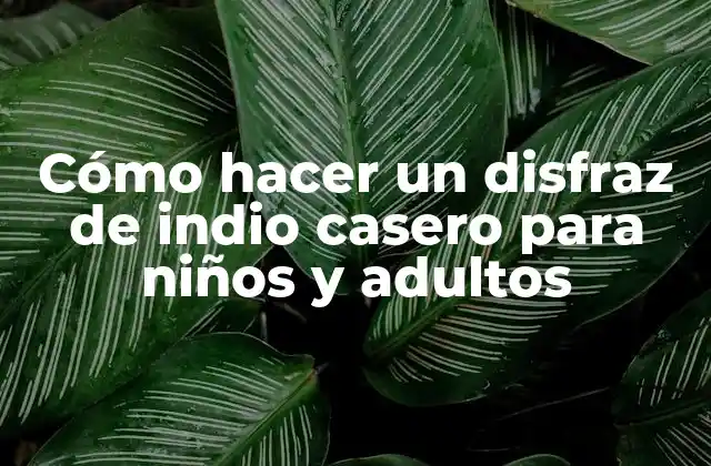 Cómo Hacer un Disfraz de Indio Casero para Niños y Adultos