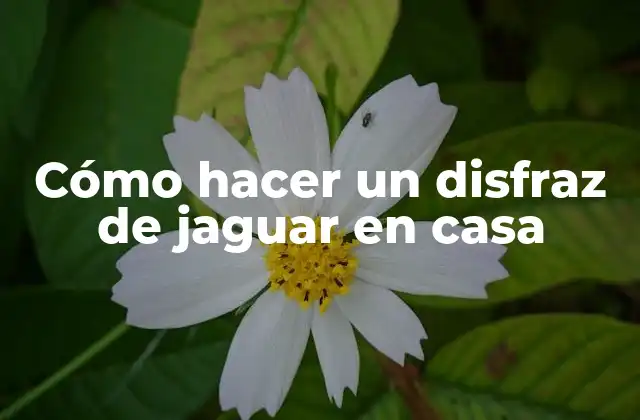 Cómo Hacer un Disfraz de Jaguar en Casa