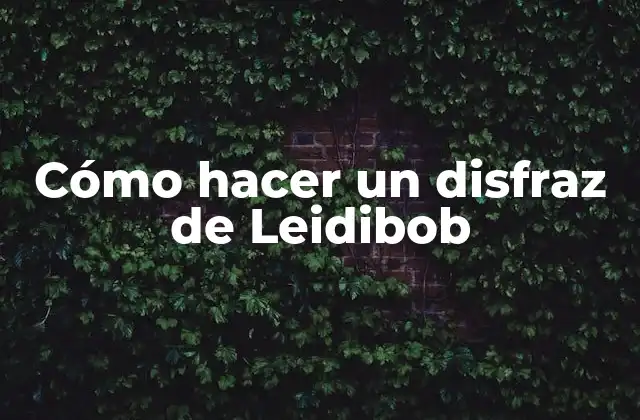 Cómo Hacer un Disfraz de Leidibob