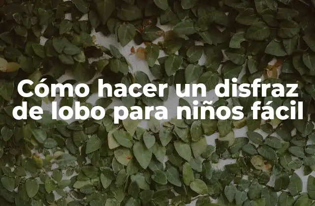 Cómo Hacer un Disfraz de Lobo para Niños Fácil