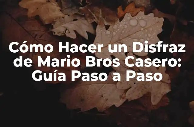 Cómo Hacer un Disfraz de Mario Bros Casero: Guía Paso a Paso