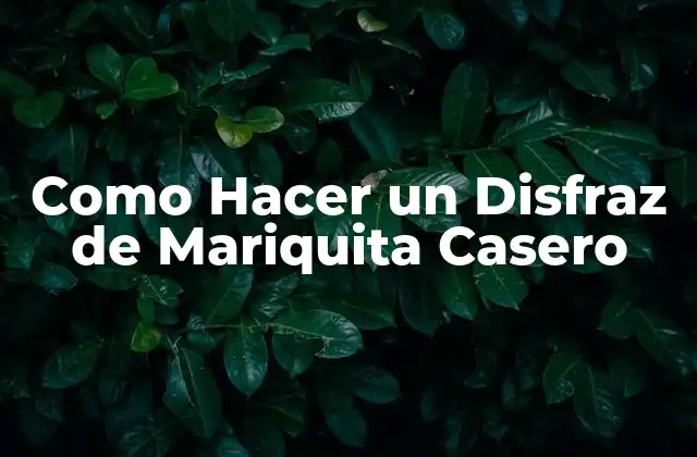 Como Hacer un Disfraz de Mariquita Casero