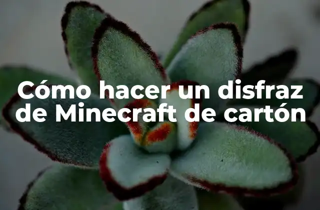 Cómo Hacer un Disfraz de Minecraft de Cartón