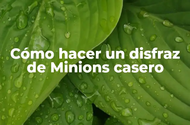 Cómo Hacer un Disfraz de Minions Casero
