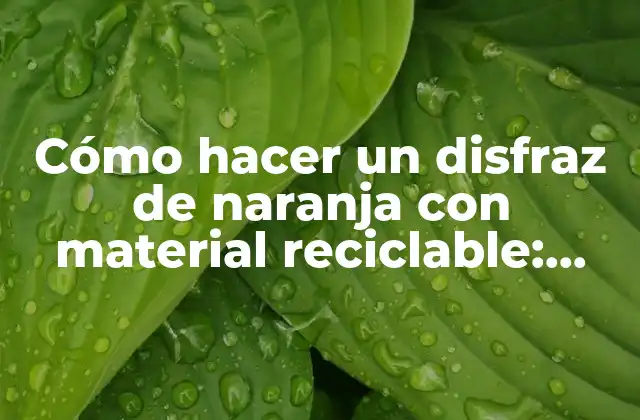 Cómo Hacer un Disfraz de Naranja con Material Reciclable: una Guía Práctica y Creativa