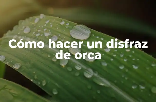 Cómo Hacer un Disfraz de Orca