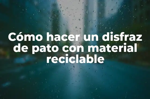 Cómo Hacer un Disfraz de Pato con Material Reciclable