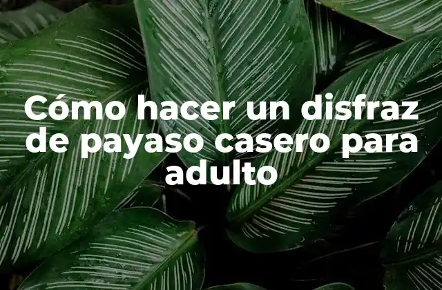 Cómo Hacer un Disfraz de Payaso Casero para Adulto