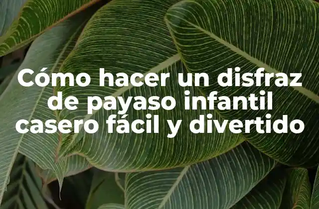 Cómo Hacer un Disfraz de Payaso Infantil Casero Fácil y Divertido