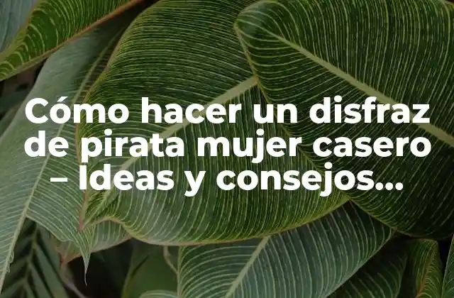 Cómo Hacer un Disfraz de Pirata Mujer Casero – Ideas y Consejos Prácticos