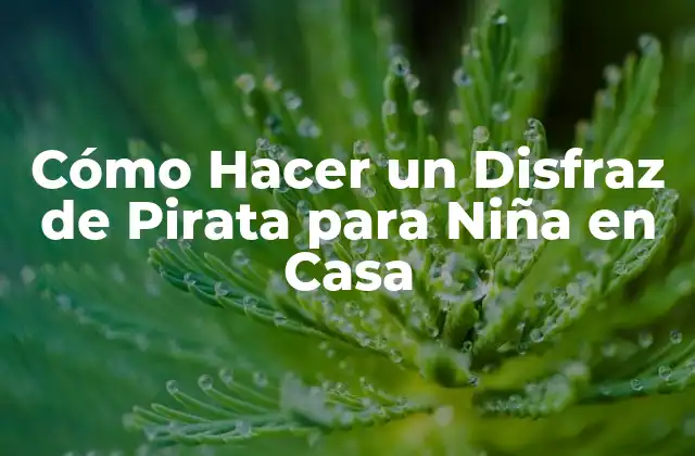Cómo Hacer un Disfraz de Pirata para Niña en Casa