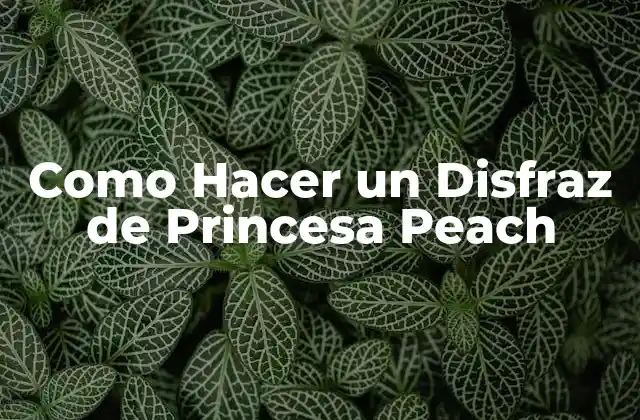 Como Hacer un Disfraz de Princesa Peach