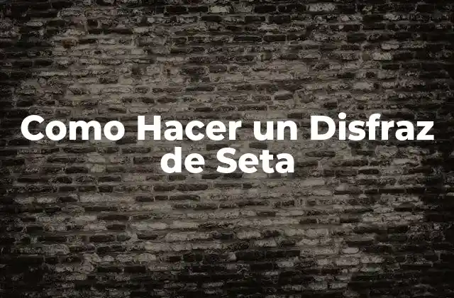 Como Hacer un Disfraz de Seta