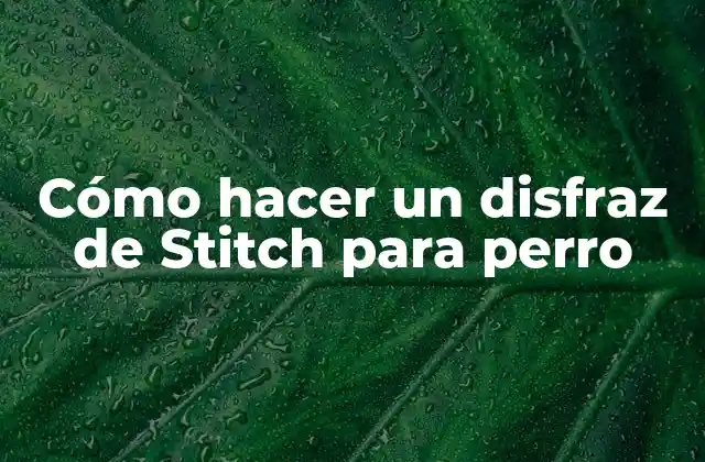 Cómo Hacer un Disfraz de Stitch para Perro