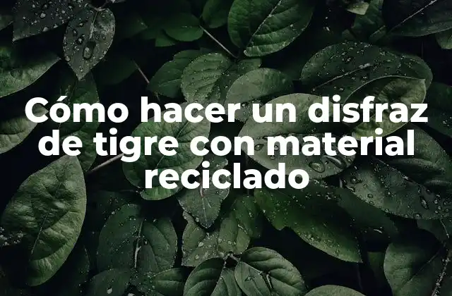 Cómo Hacer un Disfraz de Tigre con Material Reciclado