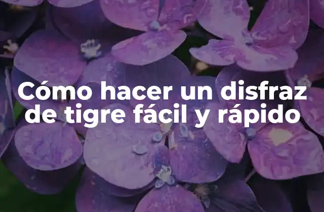 Cómo Hacer un Disfraz de Tigre Fácil y Rápido