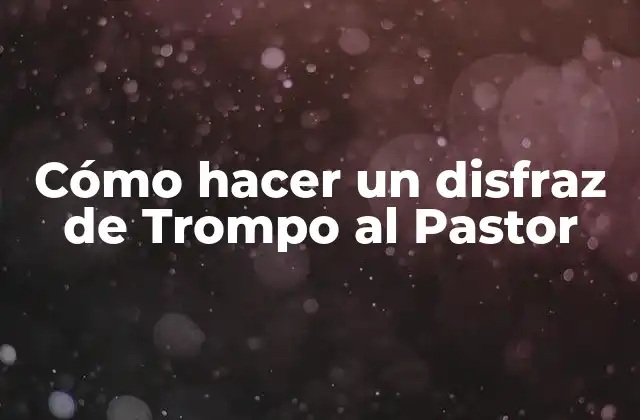 Cómo Hacer un Disfraz de Trompo Al Pastor