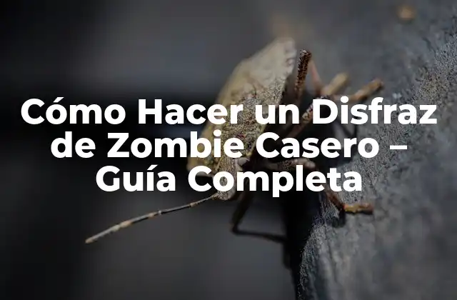 Cómo Hacer un Disfraz de Zombie Casero – Guía Completa