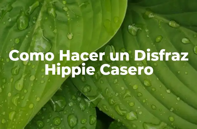 Como Hacer un Disfraz Hippie Casero