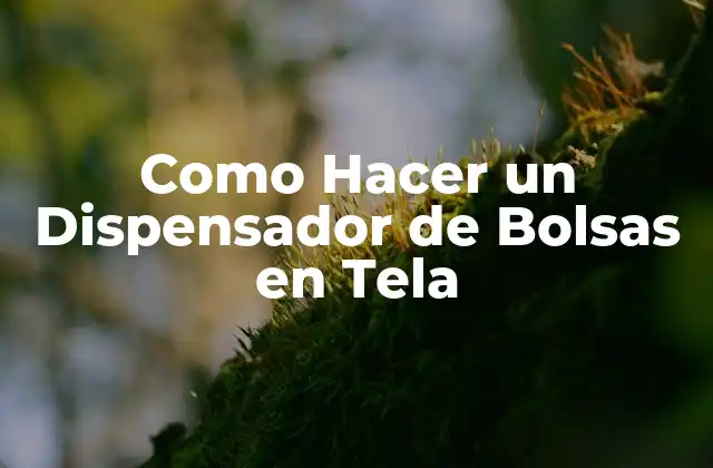 Como Hacer un Dispensador de Bolsas en Tela