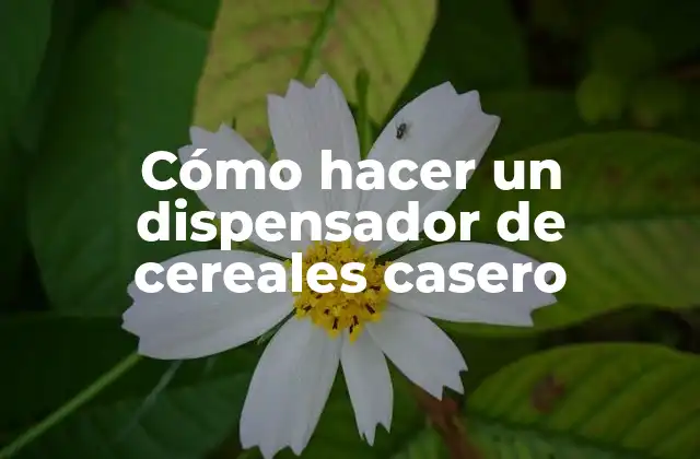 Cómo Hacer un Dispensador de Cereales Casero
