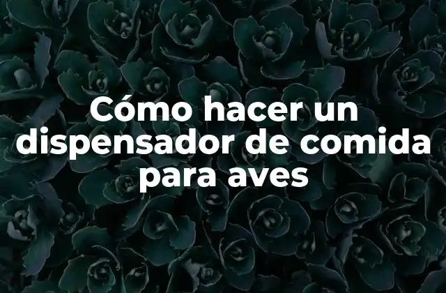 Cómo hacer un dispensador de comida para aves