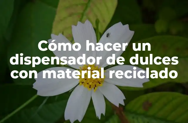 Cómo Hacer un Dispensador de Dulces con Material Reciclado