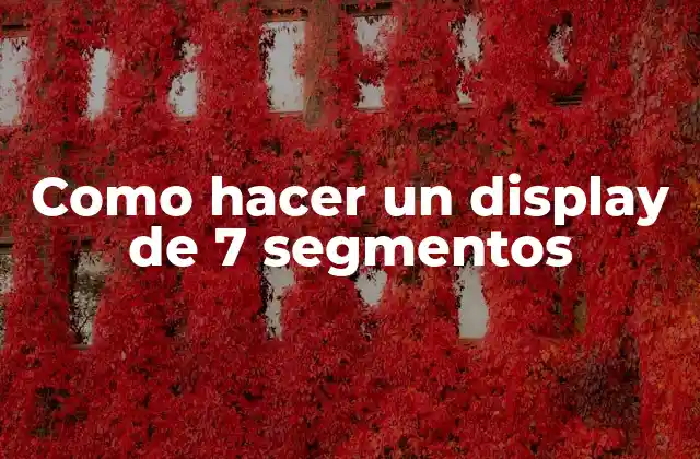 Como Hacer un Display de 7 Segmentos