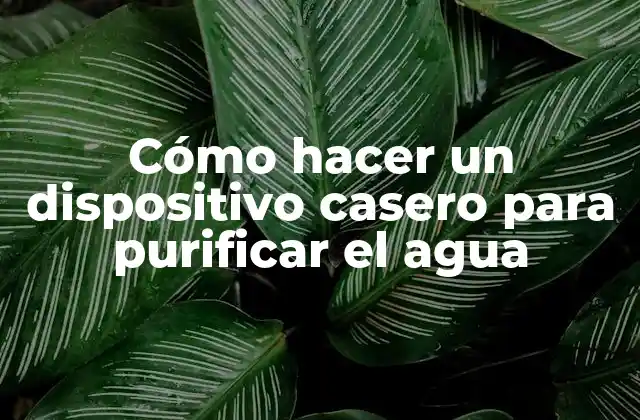 Cómo Hacer un Dispositivo Casero para Purificar el Agua