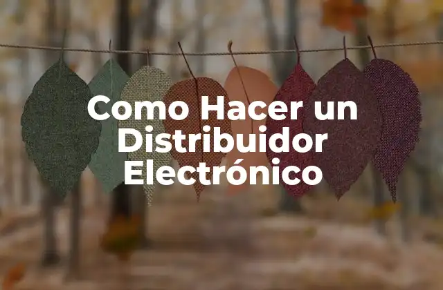 Como Hacer un Distribuidor Electrónico