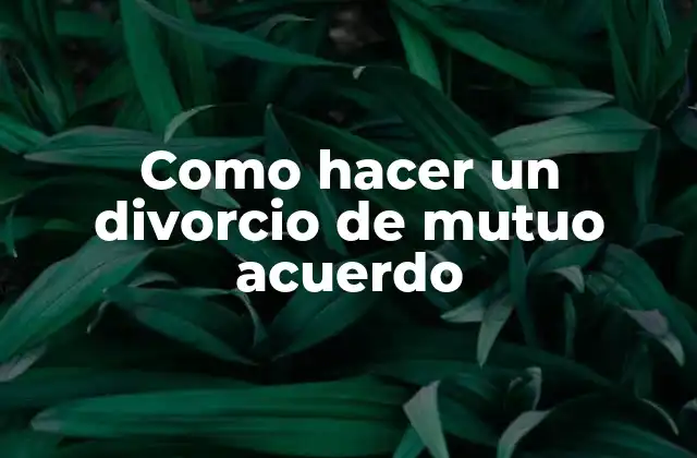 Como Hacer un Divorcio de Mutuo Acuerdo