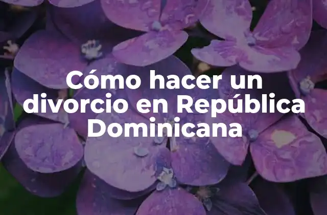 Cómo Hacer un Divorcio en República Dominicana