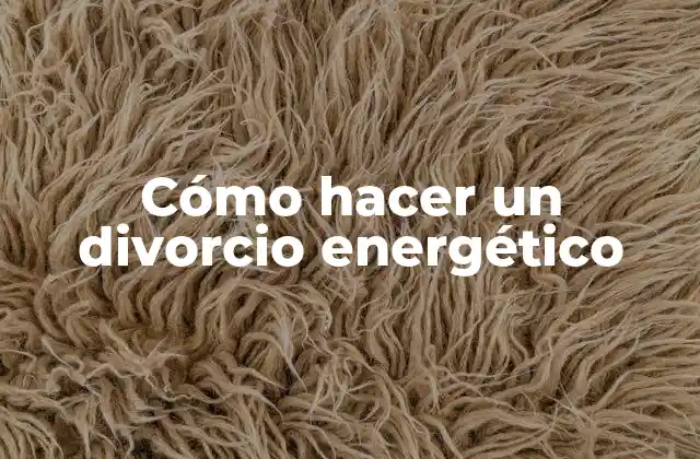 Cómo Hacer un Divorcio Energético