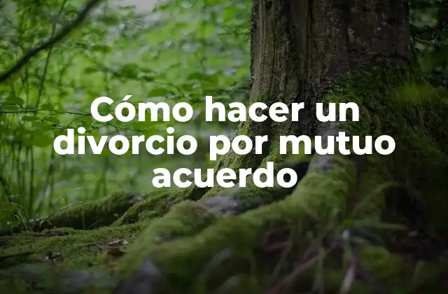 Cómo Hacer un Divorcio por Mutuo Acuerdo