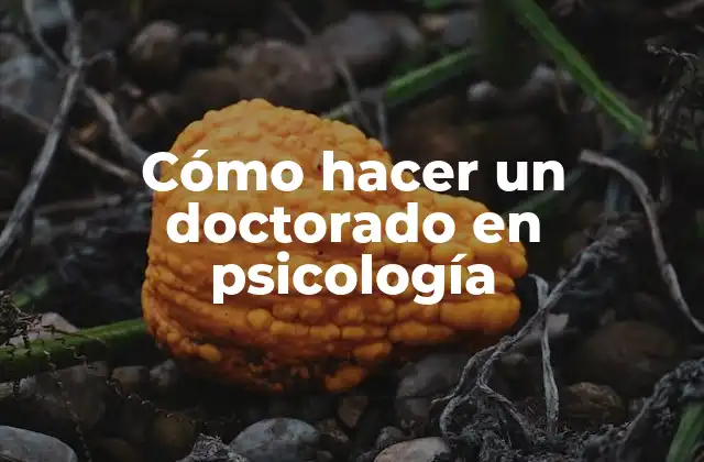 Cómo Hacer un Doctorado en Psicología