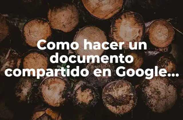 Como Hacer un Documento Compartido en Google Docs