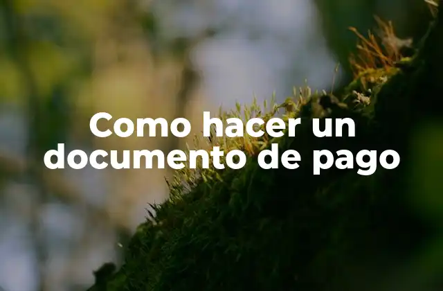 Como Hacer un Documento de Pago
