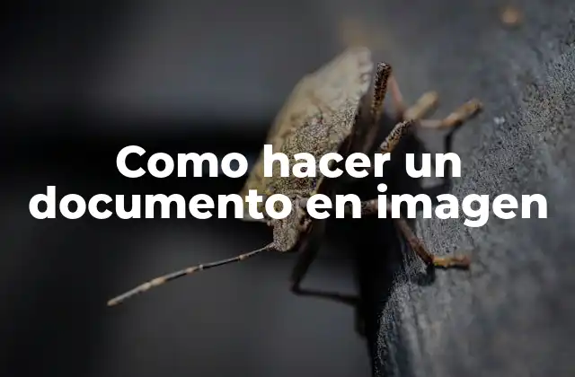 Como Hacer un Documento en Imagen