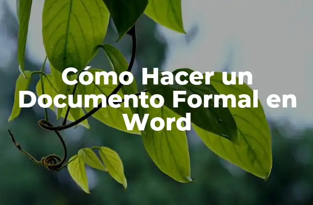 Cómo Hacer un Documento Formal en Word