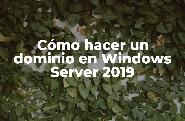Cómo Hacer un Dominio en Windows Server 2019