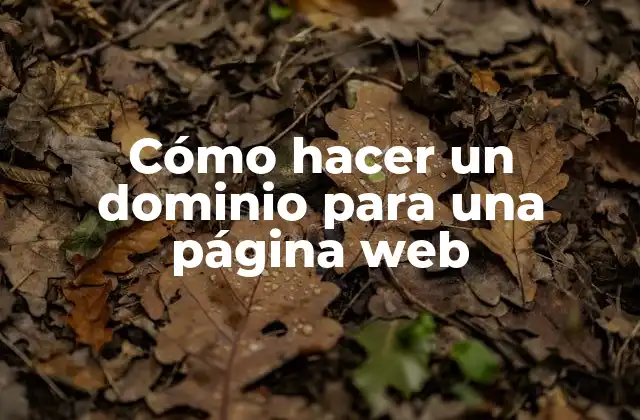 Cómo Hacer un Dominio para una Página Web