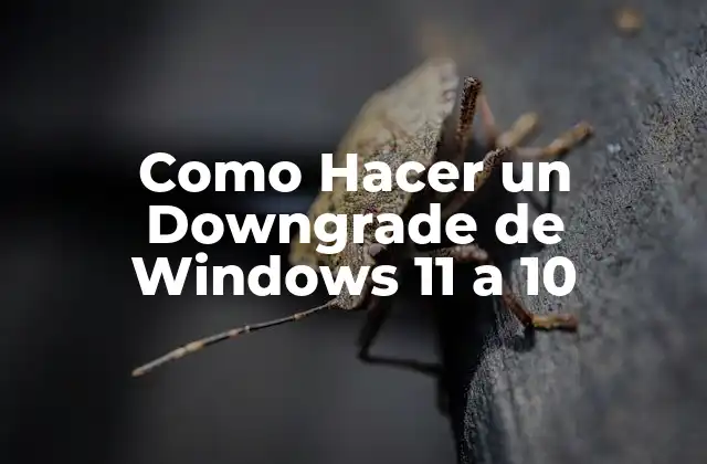 Como Hacer un Downgrade de Windows 11 a 10